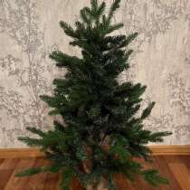 Ёлка новогодняя, в Москве