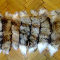 Куплю Натуральные хвосты от рыжей лисы, в Москве