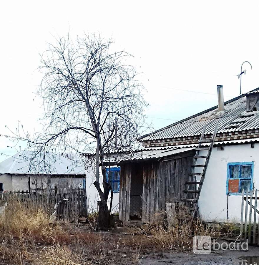 Погода ребрихинский село белово