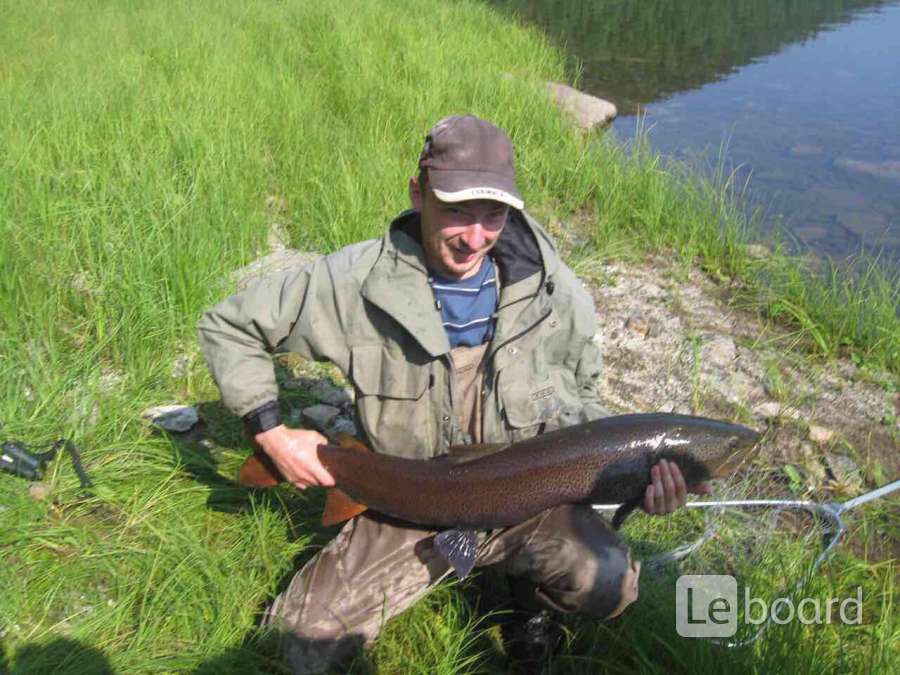 Таймень щука. Таймень рыба. Таймень щука. Таймень 10 кг. Рыбалка в уссурийске.